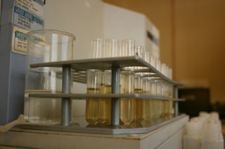 test tubes (2).jpg